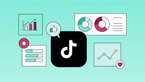 Utilizing TikTok Analytics